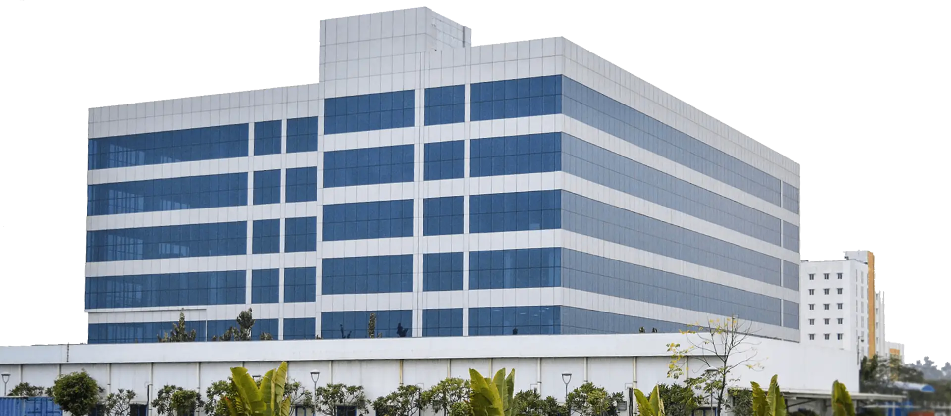 SRM University