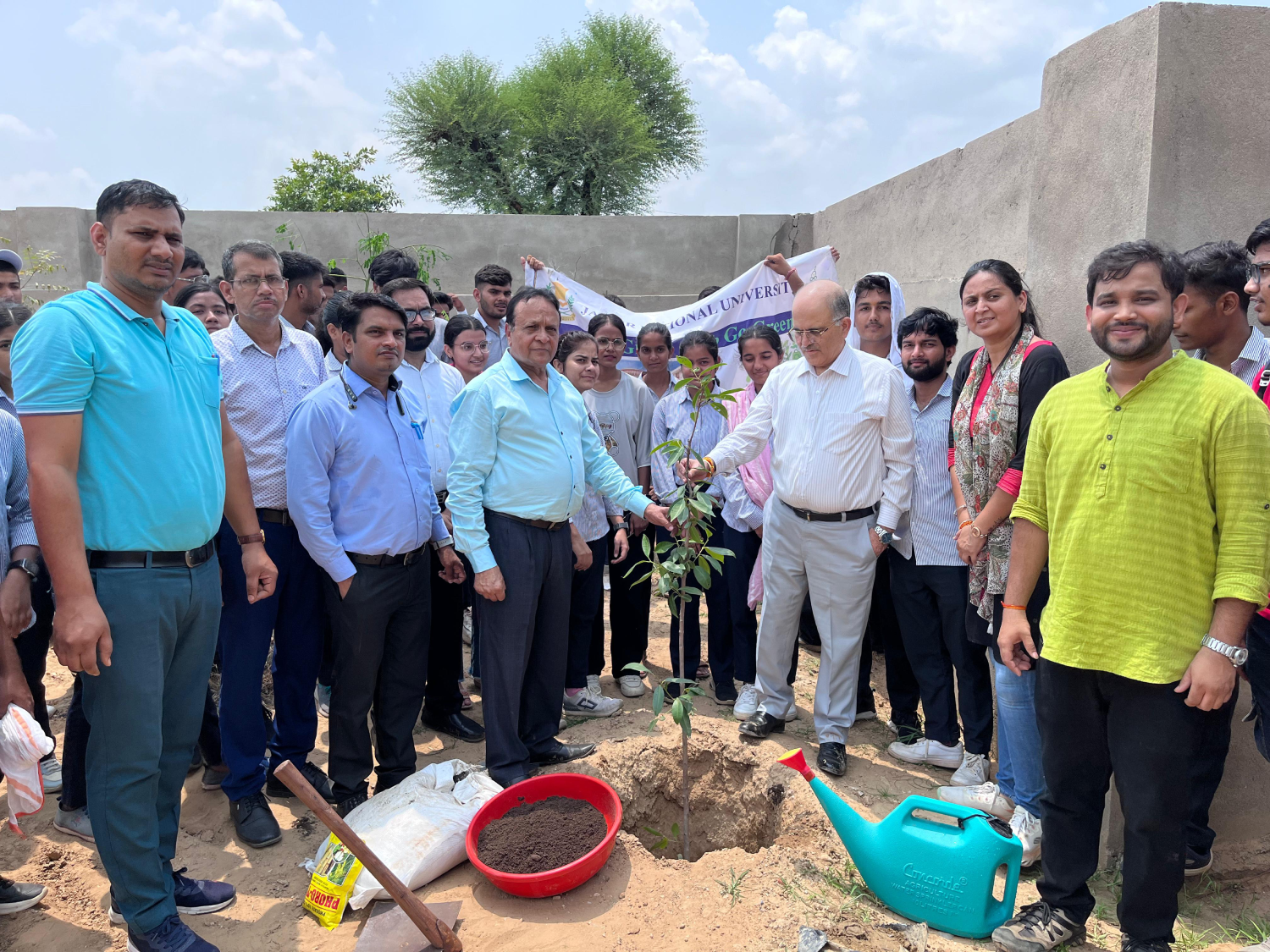 Tree Plantation