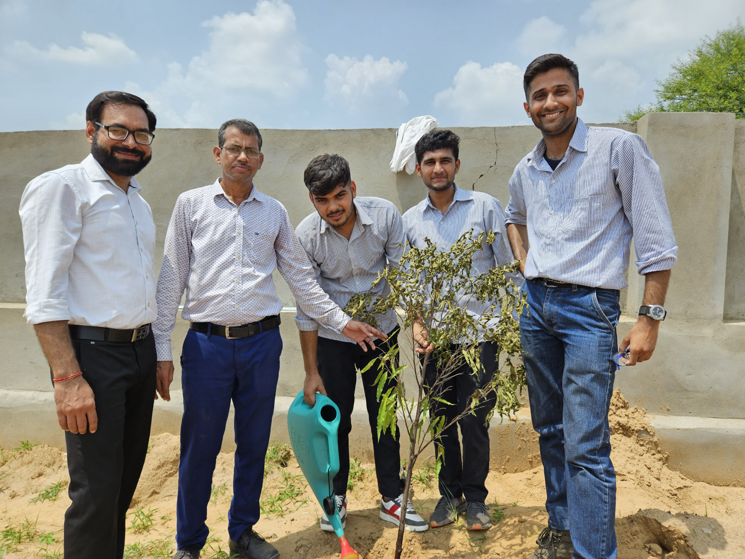 Tree Plantation
