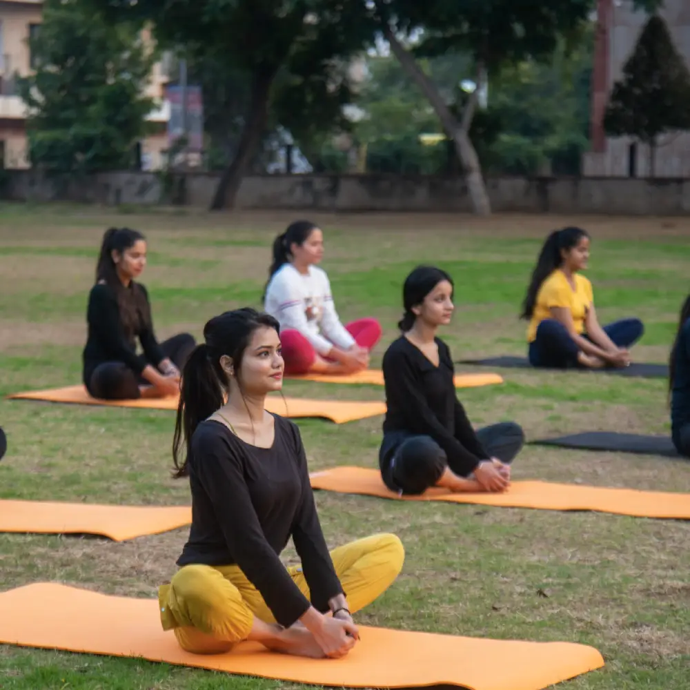 Gymnasium for fitness enthusiasts